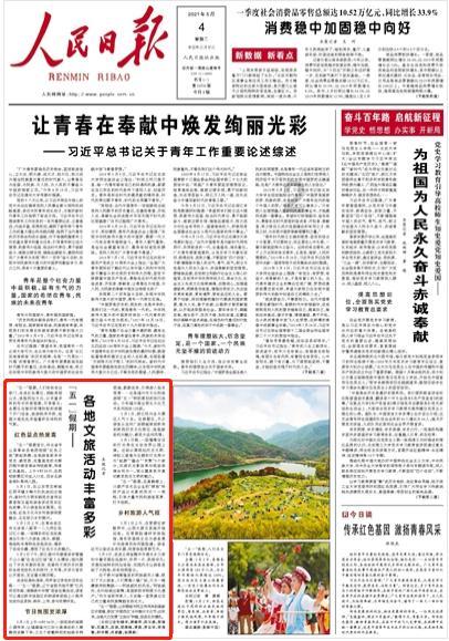 金刚鹦鹉逃生